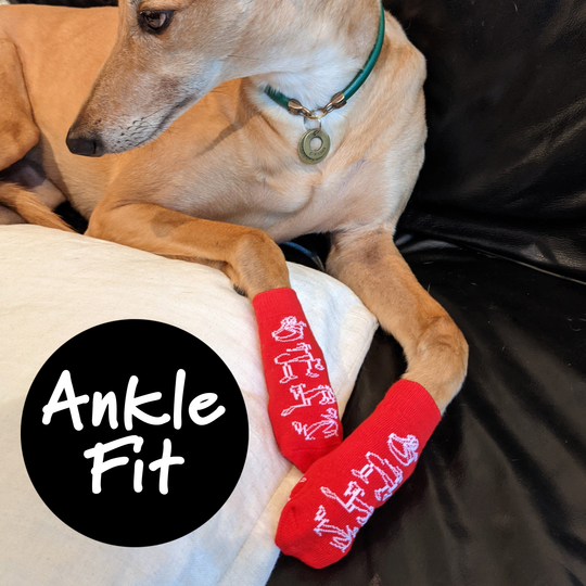 Fashound Sox by Hunnyboots