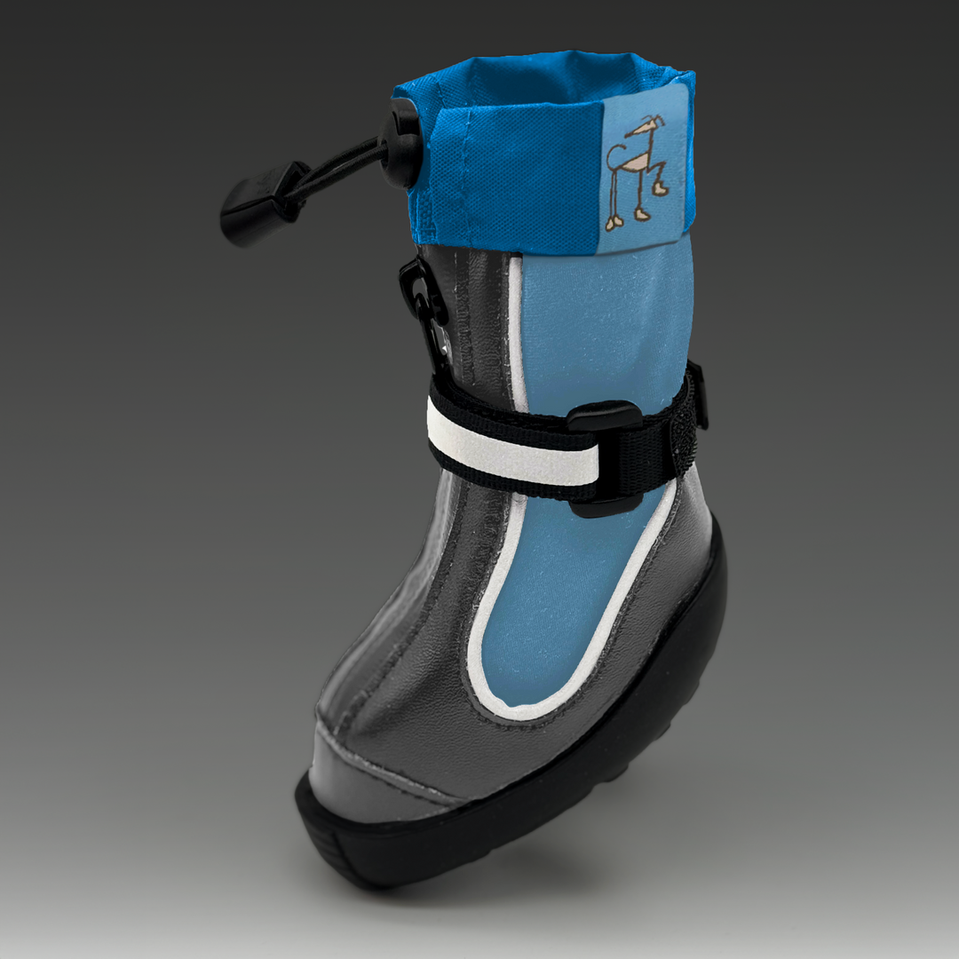 Splish-Splash Blu! - Whippets and Iggies