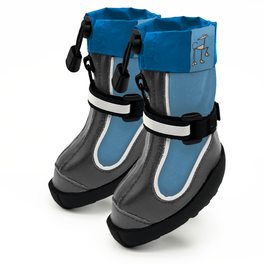 Splish-Splash Blu! - Greyhounds