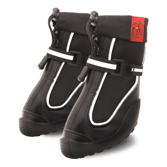 Splish-Splash Blk! - Greyhounds