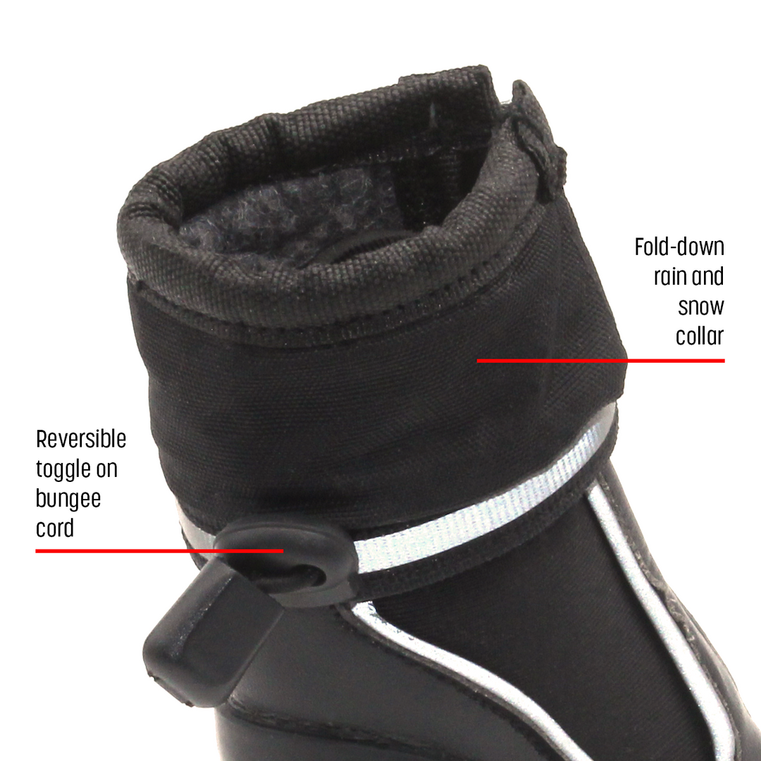 Splish-Splash Blu! - Greyhounds