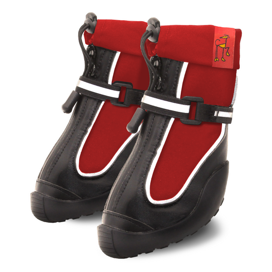 Red Splish-Splash! - Whippets and Iggies