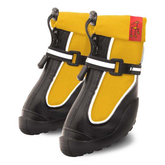 Splish-Splash Ylo! - Whippets and Iggies