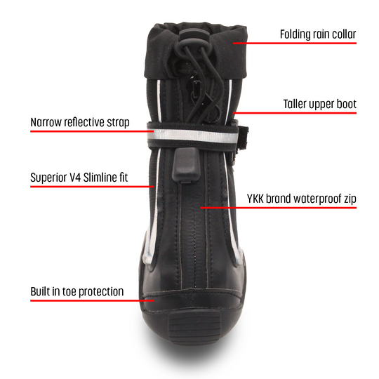 Splish-Splash Blu! - Greyhounds