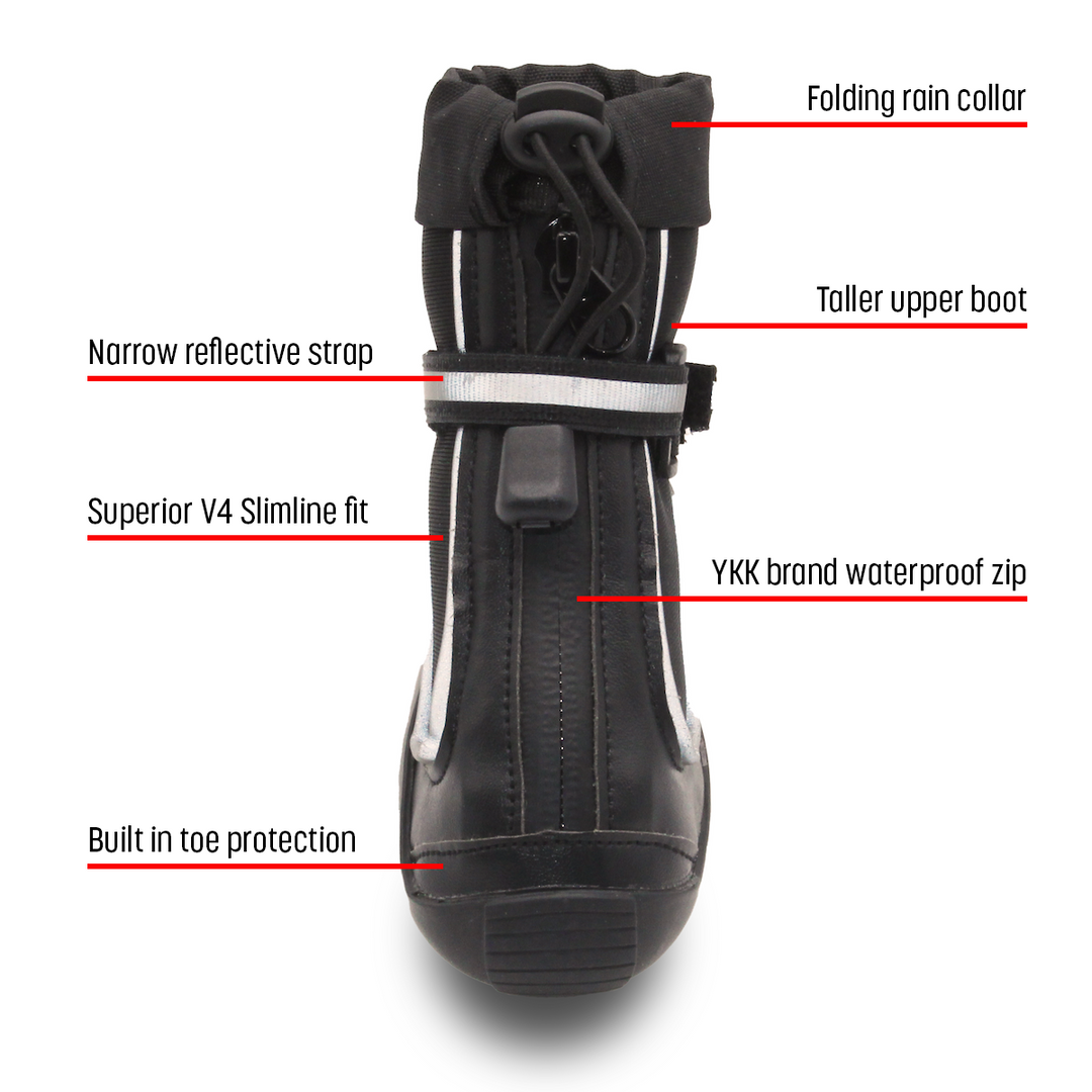 Splish-Splash Ylo! - Greyhounds