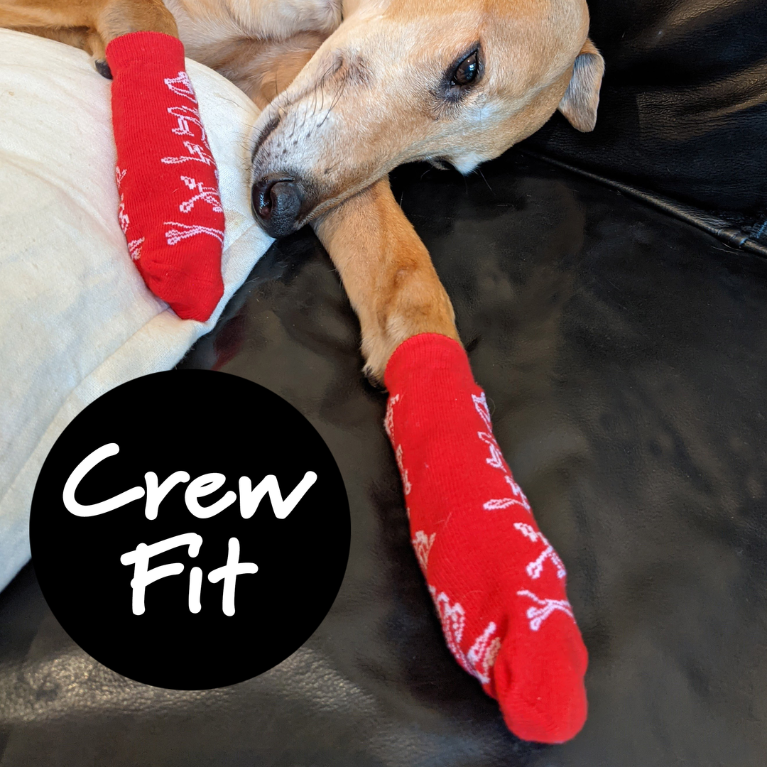 Fashound Sox by Hunnyboots