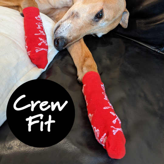 Fashound Sox by Hunnyboots