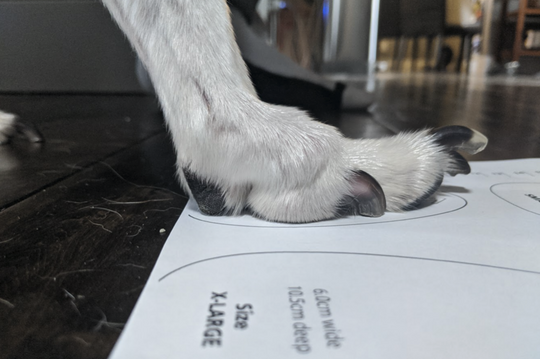 Universal Toe Cap for Hunnyboots